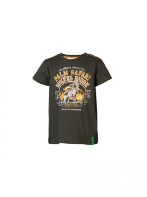 Palm Tree Kids Boys Printed Brown Tshirts