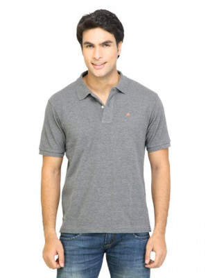 Arrow Sport Men Solid Grey Polo Tshirts