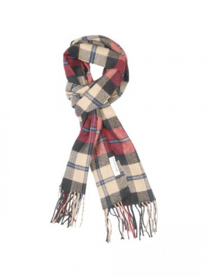 Arrow Men Maroon Check Scarf