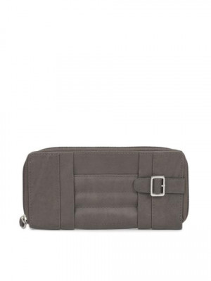 Baggit Women Grey Wallet