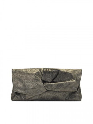 Baggit Women Bronze Clutch