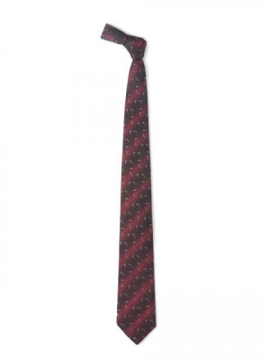Hakashi Men Maroon Silk Tie
