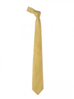 Hakashi Men Yellow Silk Tie