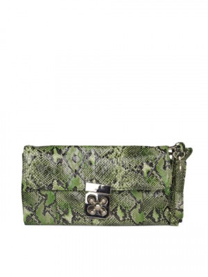 Mod'acc Women Green Clutch