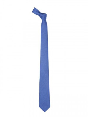 Park Avenue Men Blue Tie