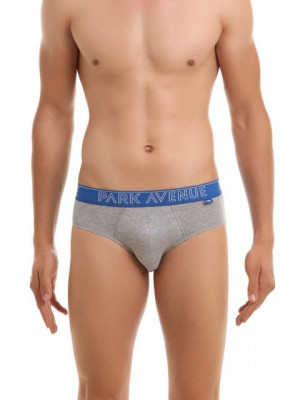 Park Avenue Men Grey Melange Briefs