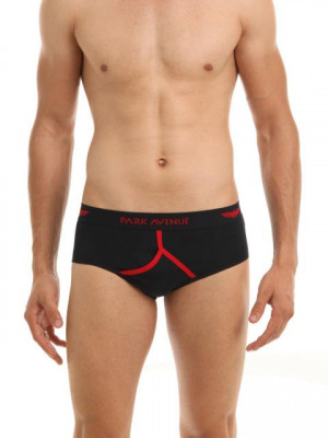 Park Avenue Men Navy Blue Brief