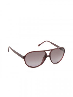Police Women Casual Brown Sunglasses