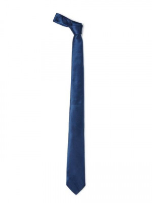 Park Avenue Men Blue Tie