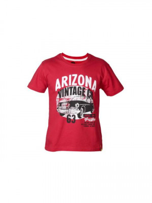 Gini and Jony Boys Printed Red T-shirt