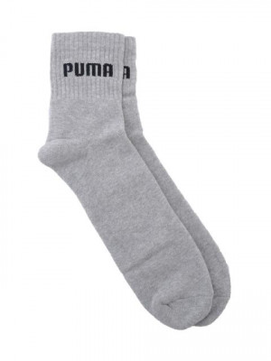 Puma Men Sports Grey Socks