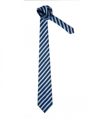 Peter England Men Elite Navy Blue Tie