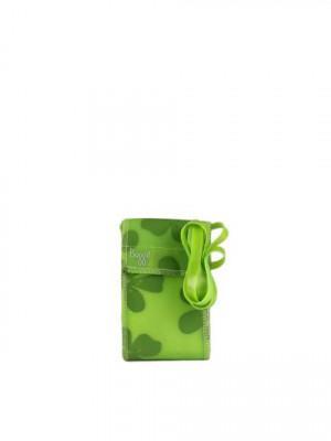 Baggit Women Green Flora Astro Mobile Pouch