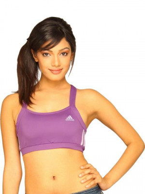 ADIDAS Women Short Purple Sports Bra