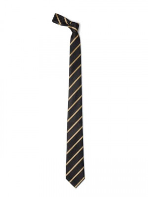 Park Avenue Men Brown Tie