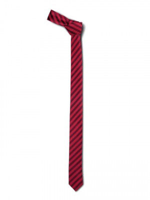 Reid & Taylor Men Red Tie