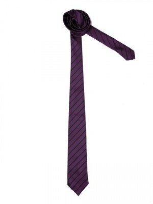 Peter England Men Elite Purple Tie
