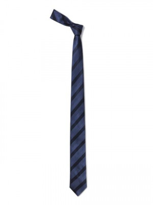 Reid & Taylor Men Blue Tie